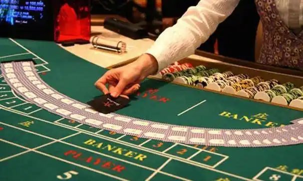 bet 559