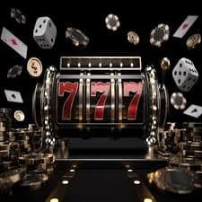 bet 559